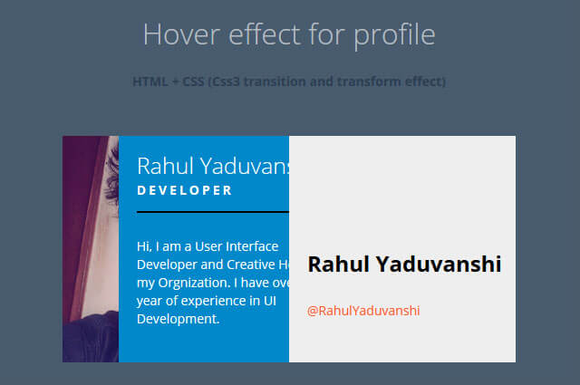 Profile View effect on hover using css3 Transform and Transition