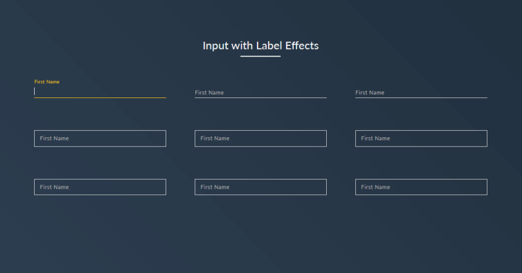 input focus effect