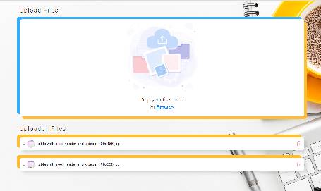 Upload Multiple Files Plugin with Preview and delete Option