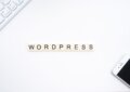 Most Populer Wordpress Theme