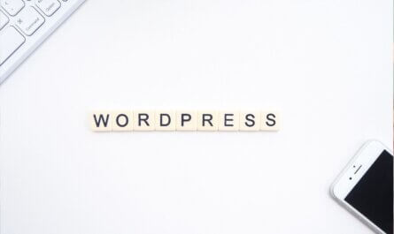 Most Populer Wordpress Theme